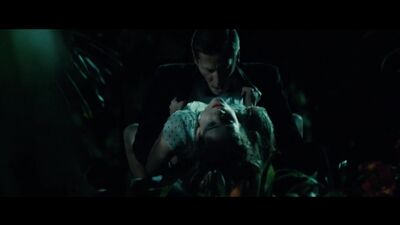 Lizzy DeClement - Oldboy (2013)