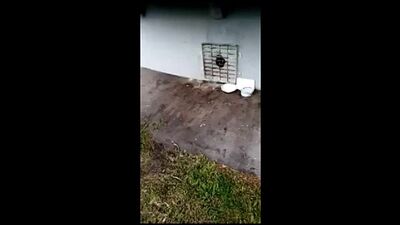 Video by Типичная Пенза