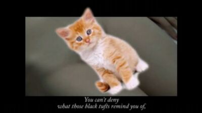 Brows Held High: The Anatomy of Hell