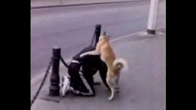 Секс с животными порно онлайн Видео http://sexvvkontakte.ru/