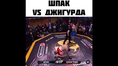 Шпак vs Джигурда