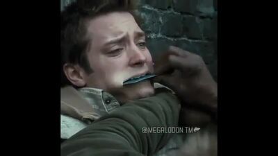 Хулиганы зеленой улицы