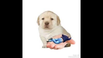 Денчик слазиет со звуком хлыста.mp4