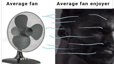 Average fan vs average fan enjoyer