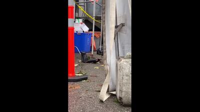 Инстасторис Alecia Maslechko.