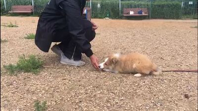 Джус в Группе.