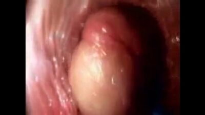 Как выглядит половой акт из нутри