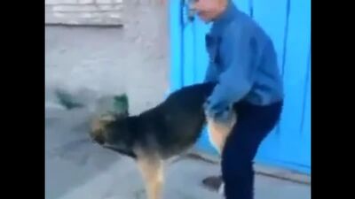 СИМПЛ ДИМПЛ НЕТ ПОП ИТ