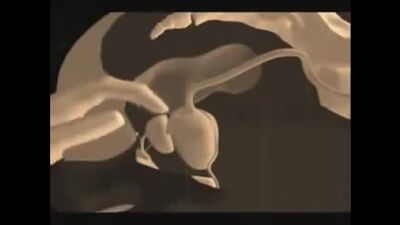 Массаж простаты просто и понятно.