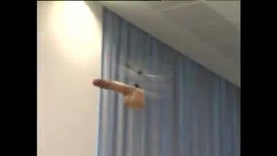 Летающая мужская писька