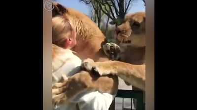 Милашки-обнимашки - vbkfirb-j,ybvfirb -