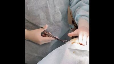 Video by Ветдоктор — ветеринарная клиника в Екатеринбурге