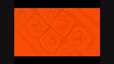 Фудзияма Суши, Роллы, Шаурма. Ул. Ленина, 94 ТЦ"ГЕРМЕС"