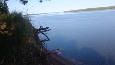 Река Кама, Казанка (устье реки Шумиха), на горе, сентябрь 2020