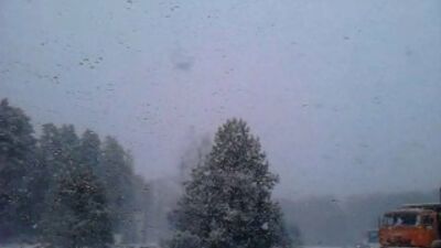 Шамаич на форде