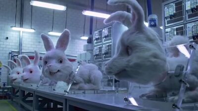 Кролик Ральф. Проблема о которой все молчат.