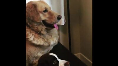 Леа Пайпс | Инстаграм | 1.12.2016