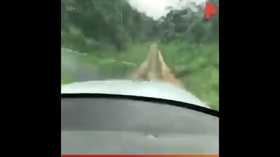 Жесткая посадка в Бразилии / #РЕНТВ