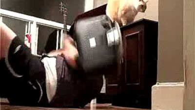 Качок и кот