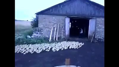 Кино"ДЖЕМ" Вот это дрессировка!!!!!! Круто!