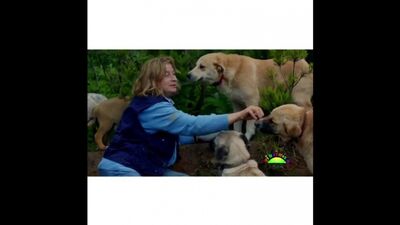 Личные видео | Хазал Филиз Кючюккёсе и другие актёры высказались в поддержку бездомных животных по всему миру.