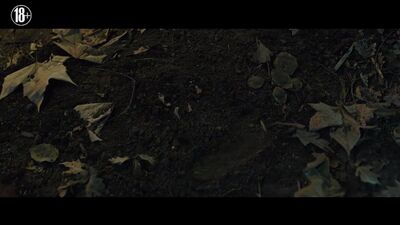 Заклятие. Новый ритуал