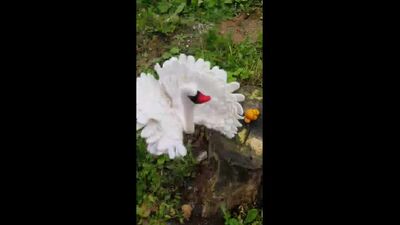 Лебедь из кукольного спектакля "Лебединое озеро"