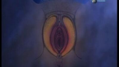 ПОЛОВОЙ АКТ(УРОКИ СЕКСА)