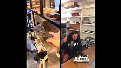 Alugalug Cat X The Kiffness