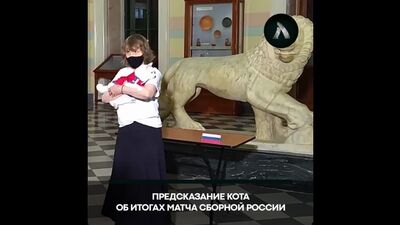 Предсказание кота | АКУЛА