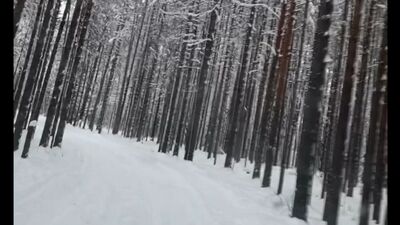 Video by База отдыха «Парма» — для жителей и гостей Коми.