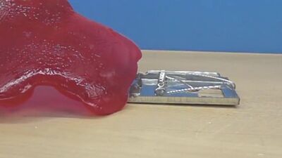 ЖЕЛЕЙНЫЙ МЕДВЕДЬ ВАЛЕРА ПРОТИВ МЫШЕЛОВКИ (Познаватель Видео, 2017)