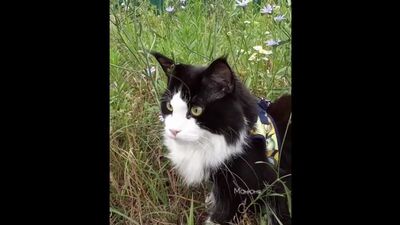 Прекрасные стихи))