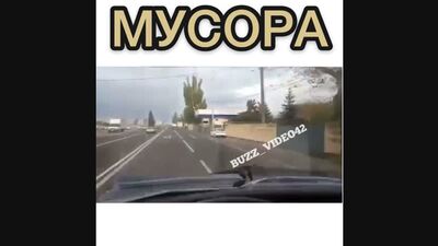 Доберман и мусора не совместимы (прикол)