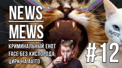 News Mews #12. Мартовское безумие с Данилой Поперечным