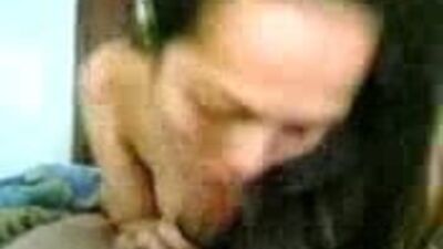 Malay (the colleagues)