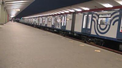 Еж3 на станции Выхино 2