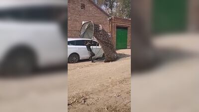 Автоматический автомобильный Зонт с дистанционным управление