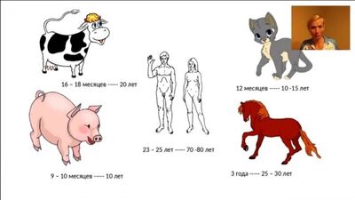 Елена Шапаренко #Здоровье #Тибетские_практики настройки #тела и #восстановления_здоровья