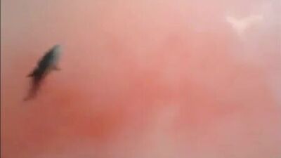 Жалко пацана