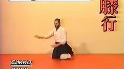 Айкидо учебный курс В. Матвеева обучающая программа 1