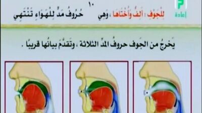 Айман Сувейд. 5. Буквы мадд