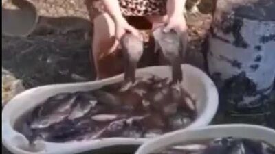 Женская доля ;tycrfz ljkz