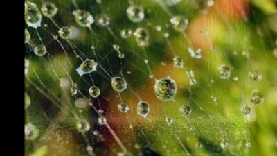 "Вальс Дождя" (Фредерик Шопен)