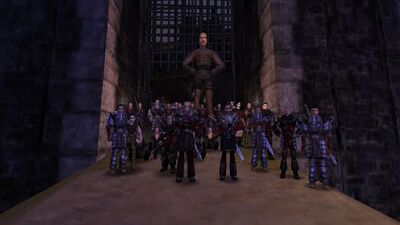 Старый Лагерь vs. Новый Лагерь