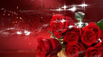 Аркадий Северный и Гриша Барбер Как много девушек хороших. 07.09.2016.