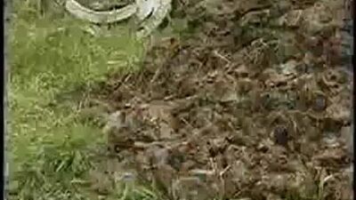 Бабка с дедом ругаются по жёсткому