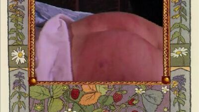 Барская усадьба