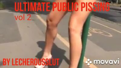Бесстыжие сучки нагло ссут на улице у всех на глазах подборка том 2 extreme public pussing compilation by lecherousslut