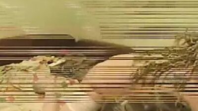 Мужчина разговаривает с проституткой, затем фистит ее везде